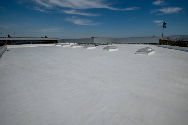 Roof Coating Services in Nellis Af, NV