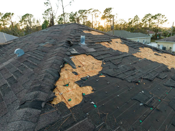 Best Roof Insulation Installation  in Nellis Af, NV