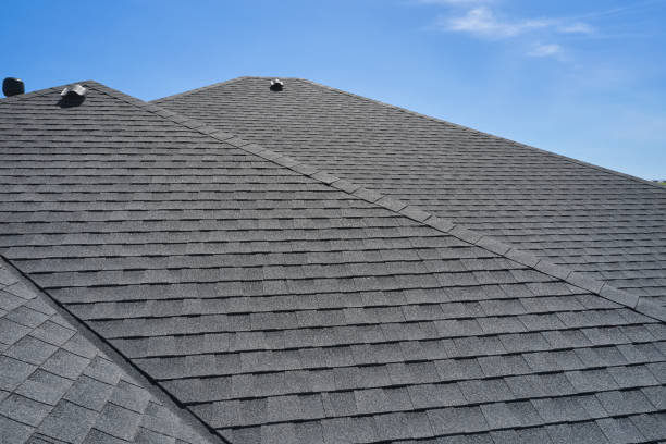 Best Roof Coating and Sealing  in Nellis Af, NV